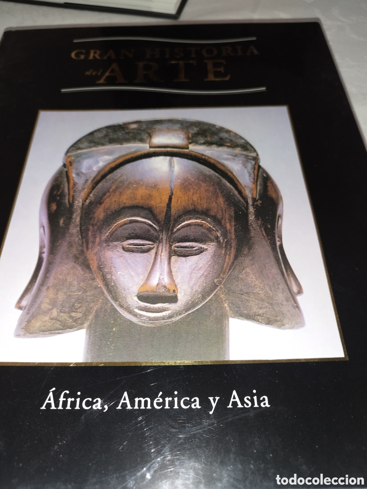 Libros de segunda mano: GRAN HISTORIA DEL ARTE TOMO 10: AFRICA, AMERICA Y ASIA. ED. PLANETA, 1998. MUY ILUSTRADO.