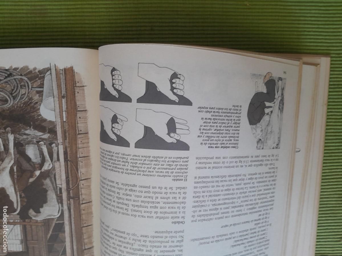 Libros de segunda mano: LA VIDA EN EL CAMPO. JOHN SEYMOUR. BLUME 1980 - Foto 10