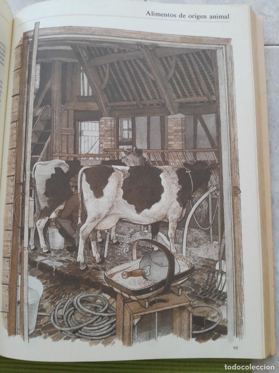 Libros de segunda mano: LA VIDA EN EL CAMPO. JOHN SEYMOUR. BLUME 1980 - Foto 11