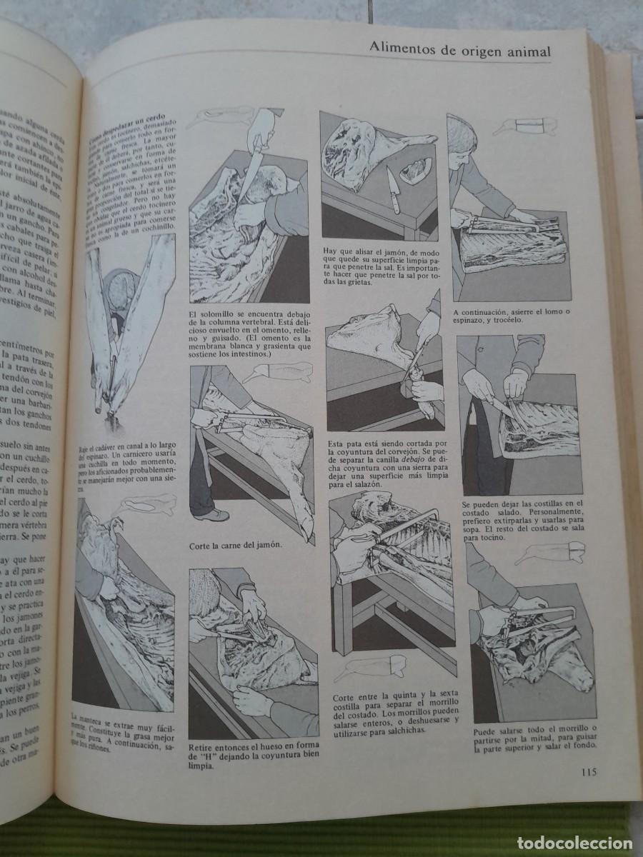 Libros de segunda mano: LA VIDA EN EL CAMPO. JOHN SEYMOUR. BLUME 1980 - Foto 12