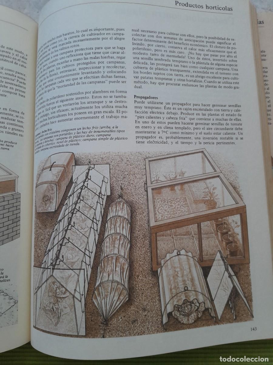 Libros de segunda mano: LA VIDA EN EL CAMPO. JOHN SEYMOUR. BLUME 1980 - Foto 13