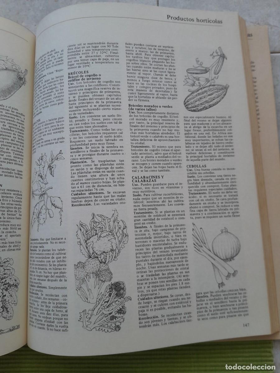 Libros de segunda mano: LA VIDA EN EL CAMPO. JOHN SEYMOUR. BLUME 1980 - Foto 15