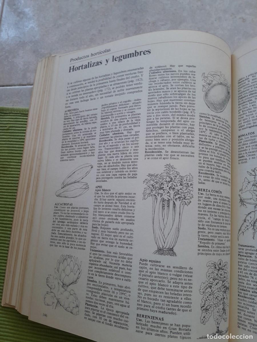 Libros de segunda mano: LA VIDA EN EL CAMPO. JOHN SEYMOUR. BLUME 1980 - Foto 16