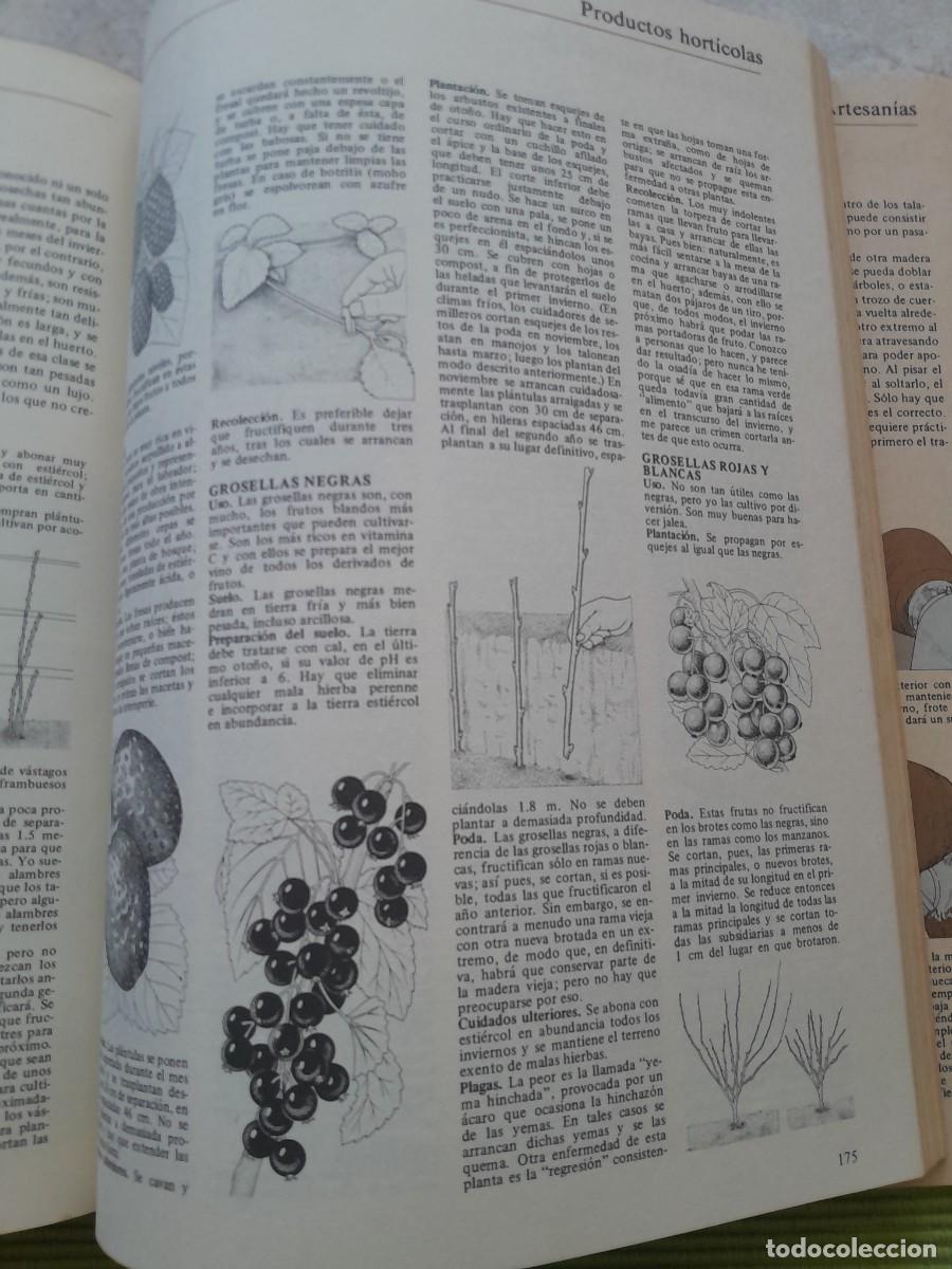 Libros de segunda mano: LA VIDA EN EL CAMPO. JOHN SEYMOUR. BLUME 1980 - Foto 17