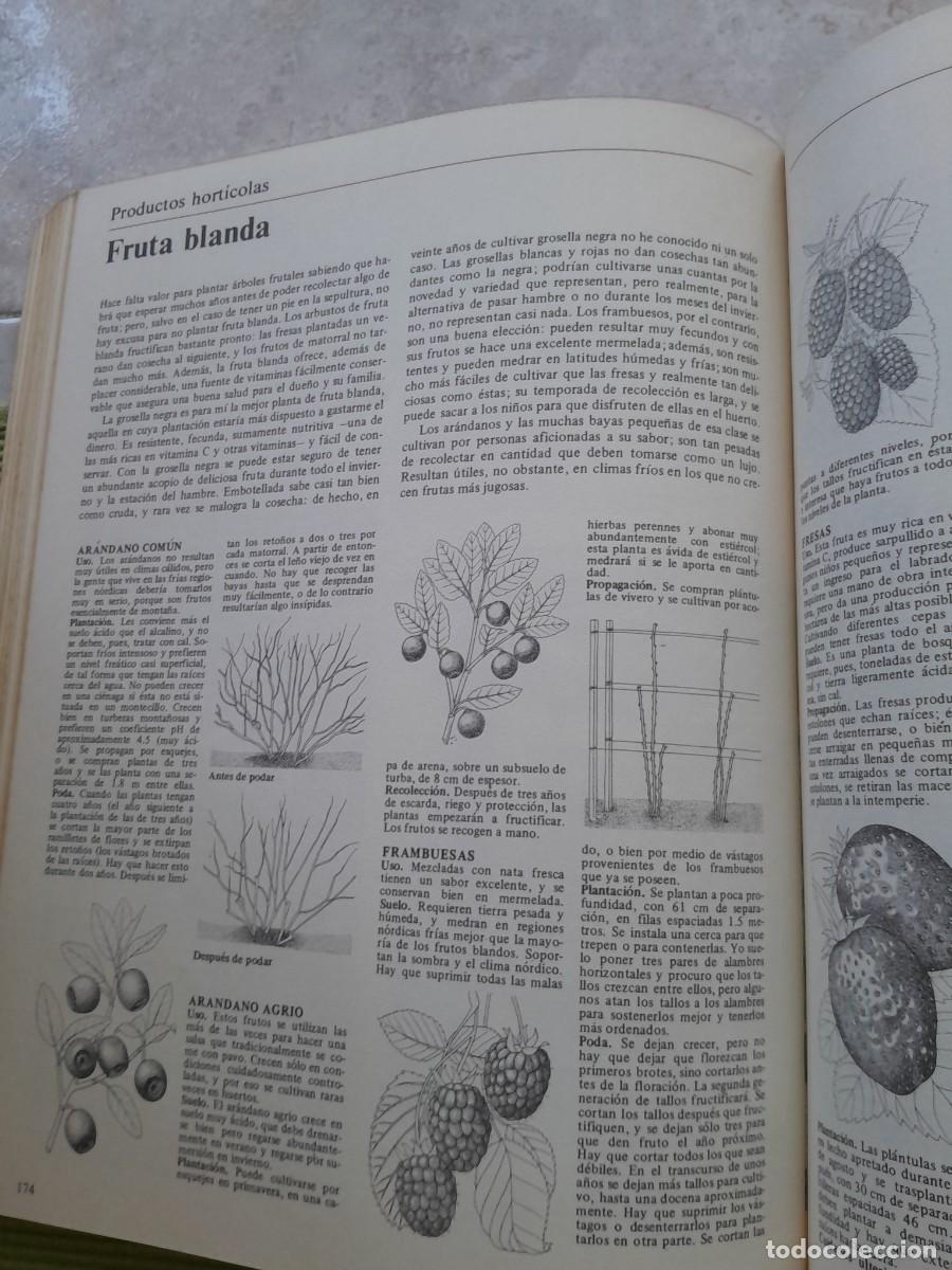 Libros de segunda mano: LA VIDA EN EL CAMPO. JOHN SEYMOUR. BLUME 1980 - Foto 18