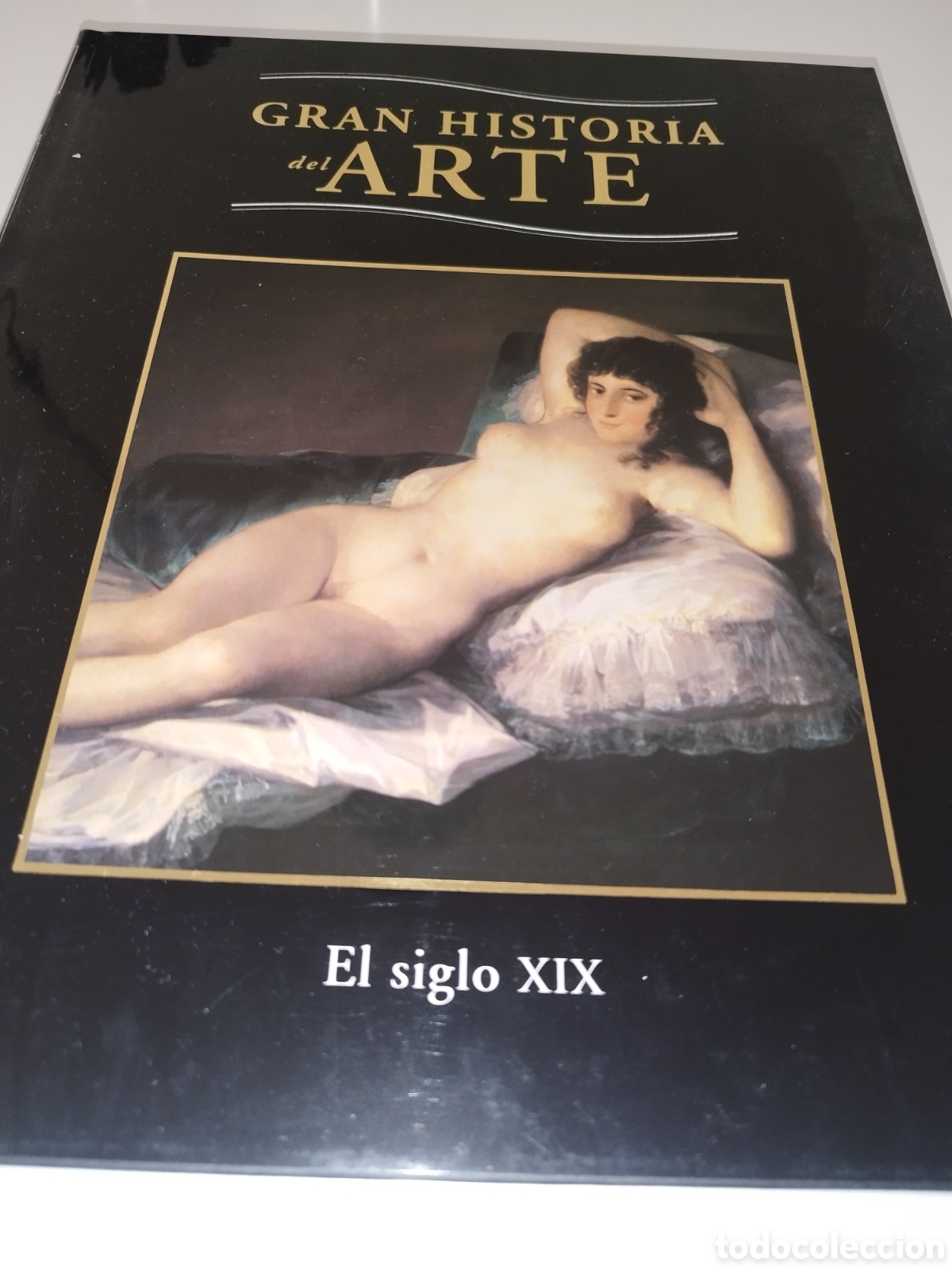 Libros de segunda mano: GRAN HISTORIA DEL ARTE TOMO 8: EL SIGLO XIX. ED. PLANETA, 1998. MUY ILUSTRADO.