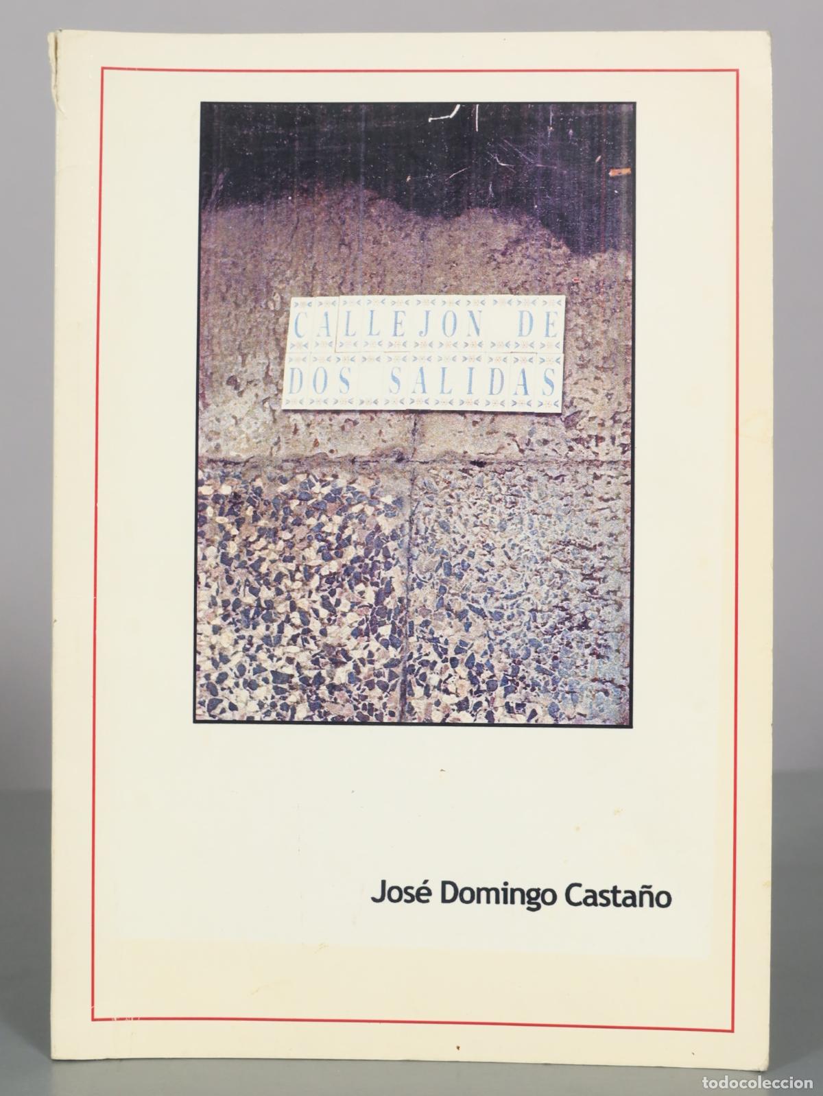 Libros de segunda mano: Callej&oacute;n de dos salidas - Jos&eacute; Domingo Casta&ntilde;o