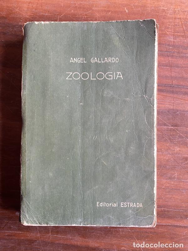 Libros de segunda mano: Zoologia - Gallardo Angel