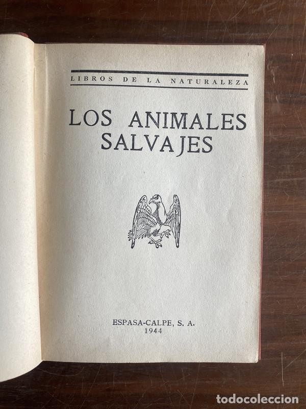 Libros de segunda mano: Los animales salvajes - -