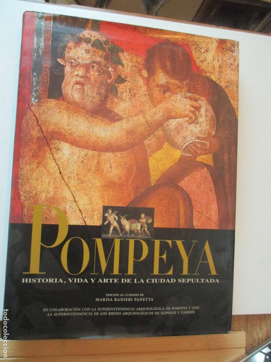 Libros de segunda mano: MARISA RANIERI Pompeya Historia, vida y arte de la ciudad sepultada W41728