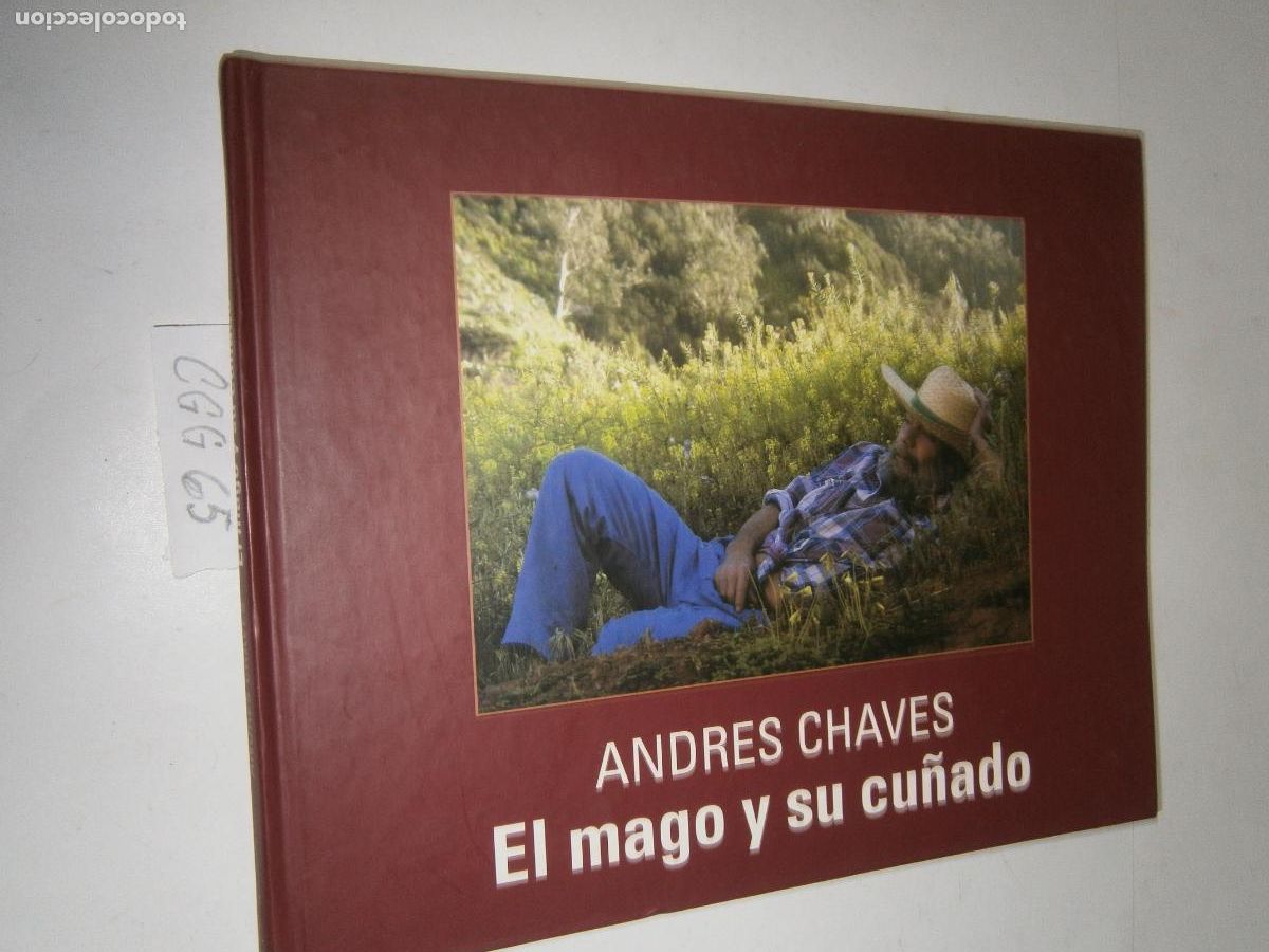 Libros de segunda mano: EL MAGO Y SU CU&Ntilde;ADO --