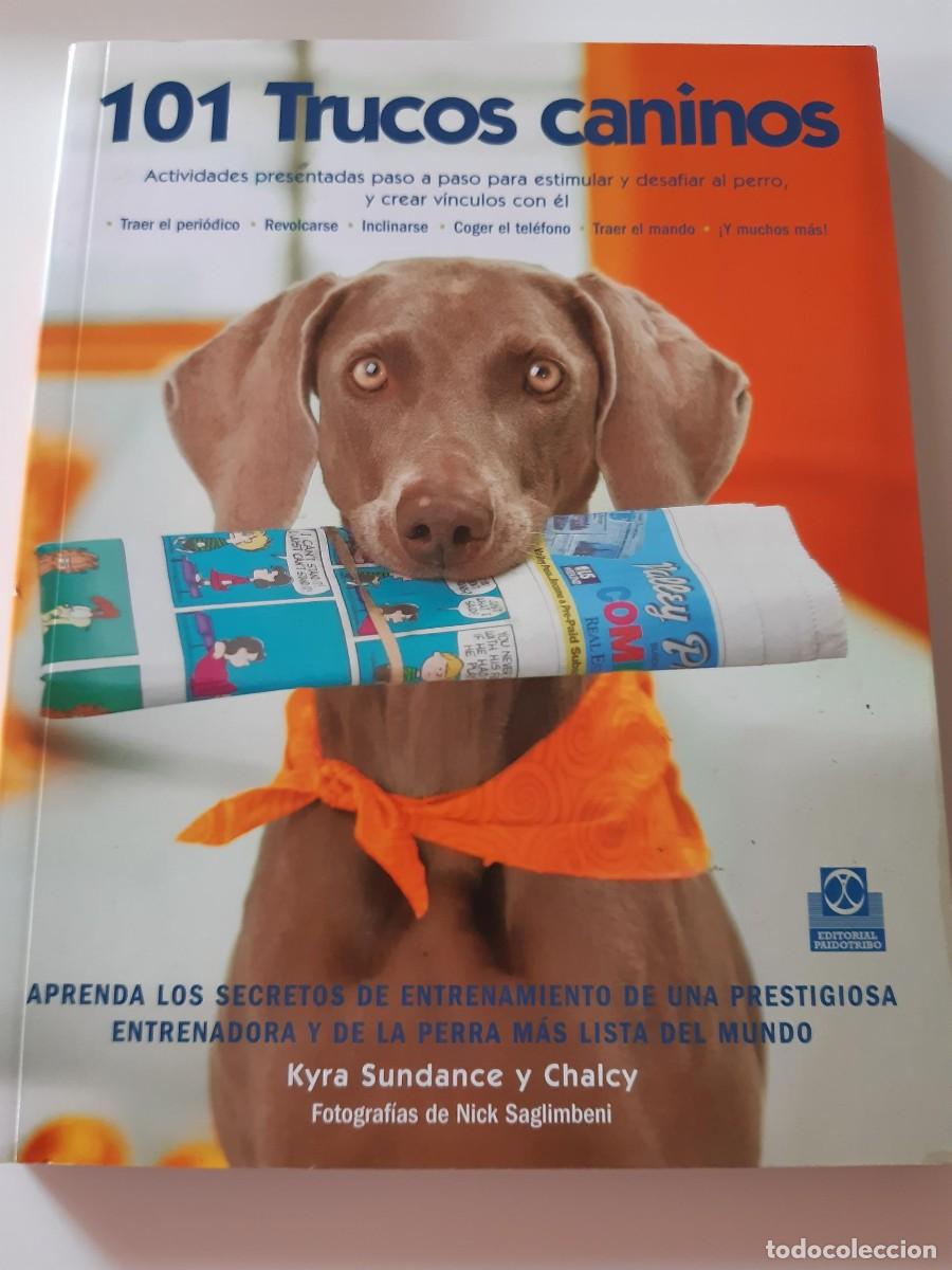 Libros de segunda mano: 101 TRUCOS CANINOS ESTIMULO PERRO VINCULOS KYRA SUNDANCE Y CHALCY