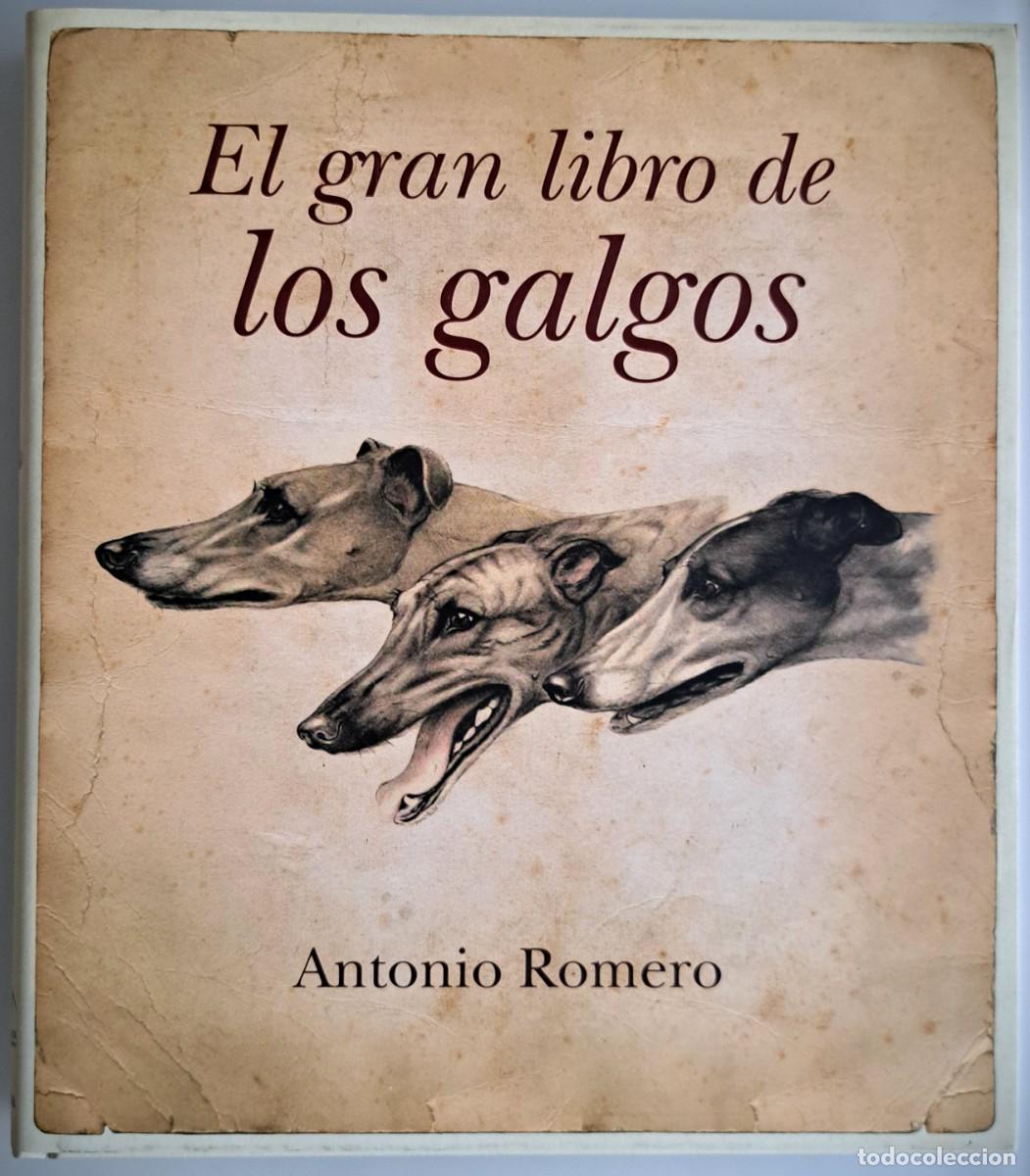 Libros de segunda mano: El gran libro de los galgos. Caza. Perros.