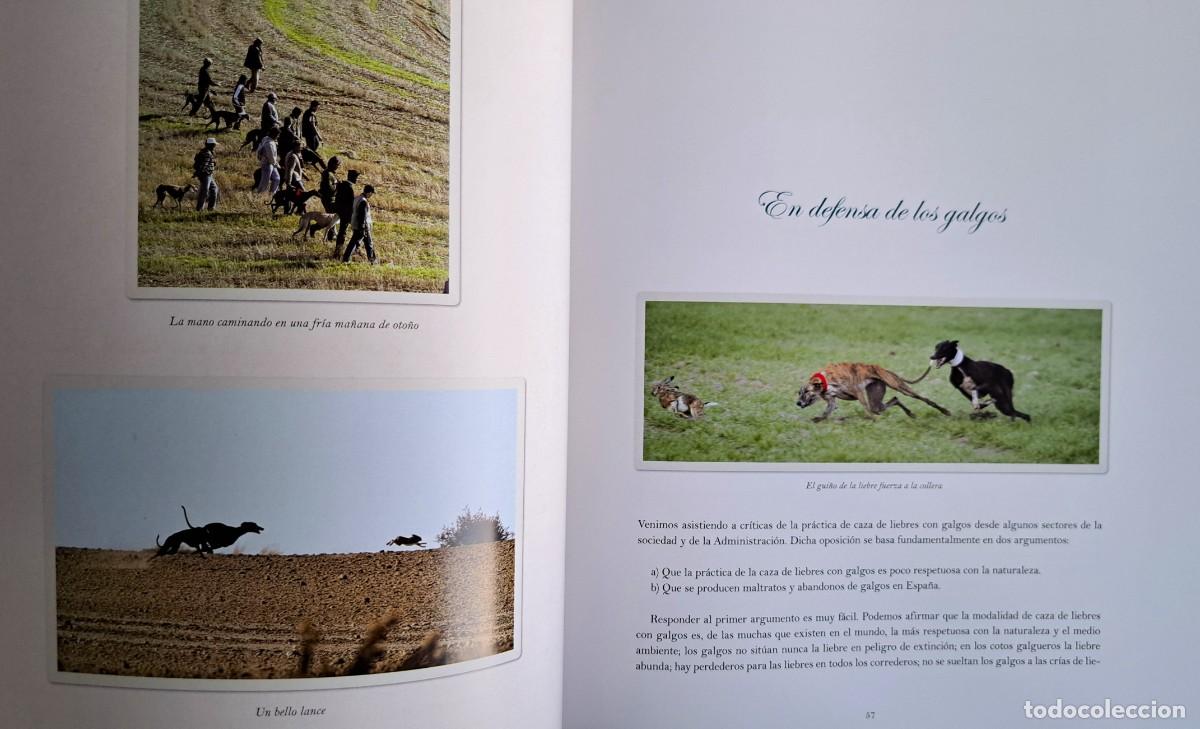 Libros de segunda mano: El gran libro de los galgos. Caza. Perros. - Foto 5