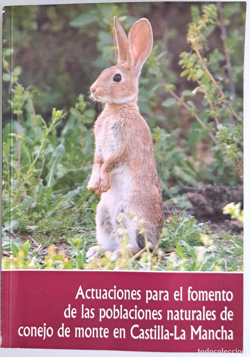 Libros de segunda mano: Actuaciones para el fomento de las poblaciones naturales de conejo de monte en Castilla-La Mancha.