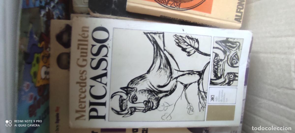 Libros de segunda mano: PICASSO - MERCEDES GUILL&Eacute;N - SIGLO XXI - 1975