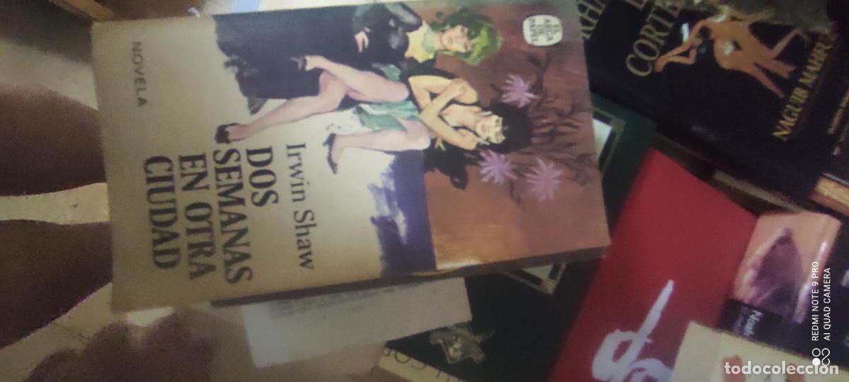 Libros de segunda mano: dos semanas en otra ciudad. Irving Shaw