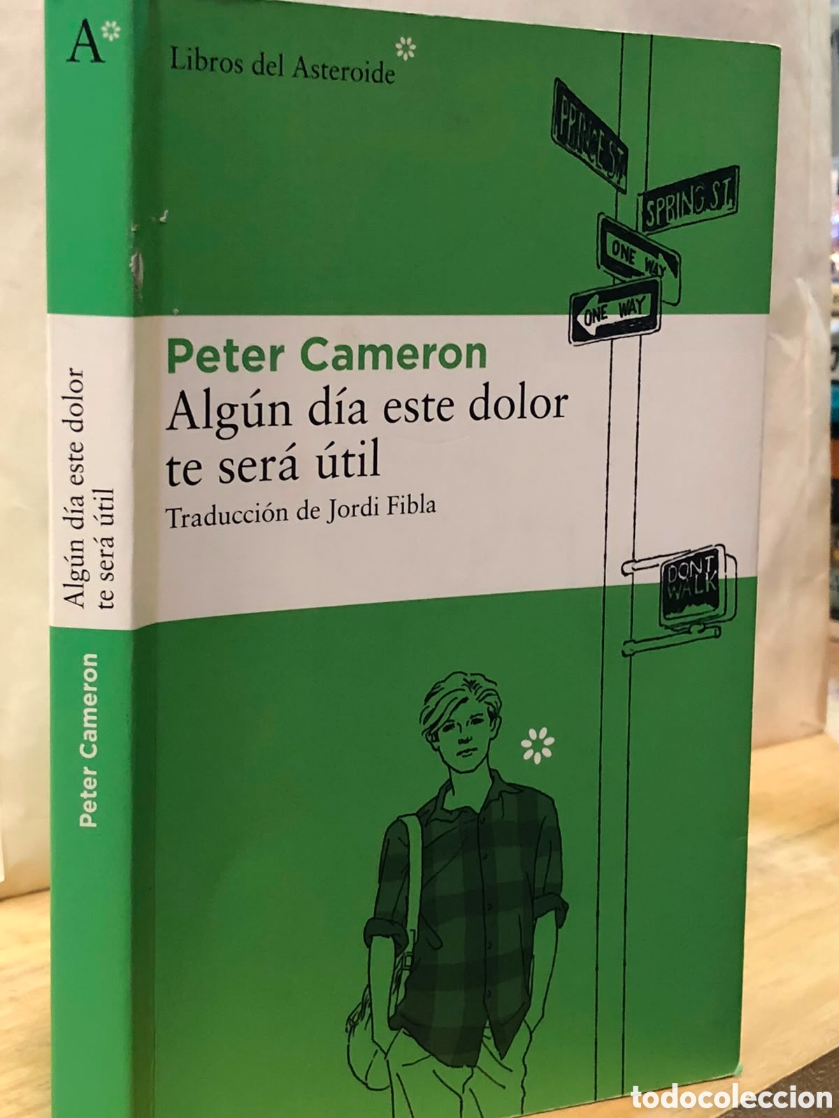 Libros de segunda mano: Alg&uacute;n d&iacute;a este dolor te ser&aacute; &uacute;til - Peter Cameron - Foto 1