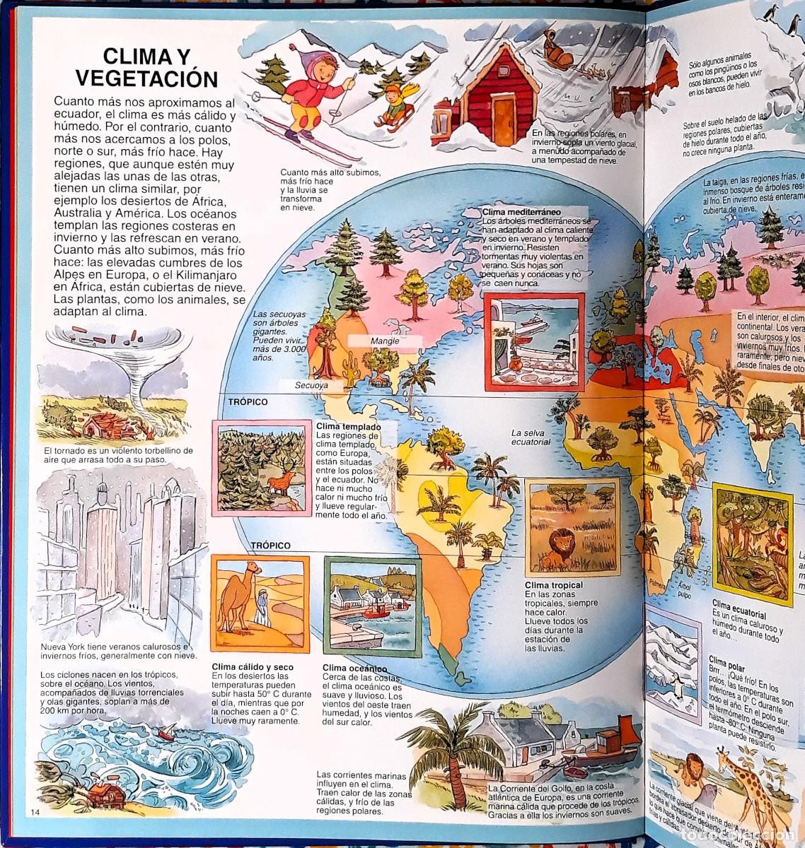 Libros de segunda mano: Atlas de los ni&ntilde;os - &Eacute;ditions Fleurus, 1998 - Foto 7