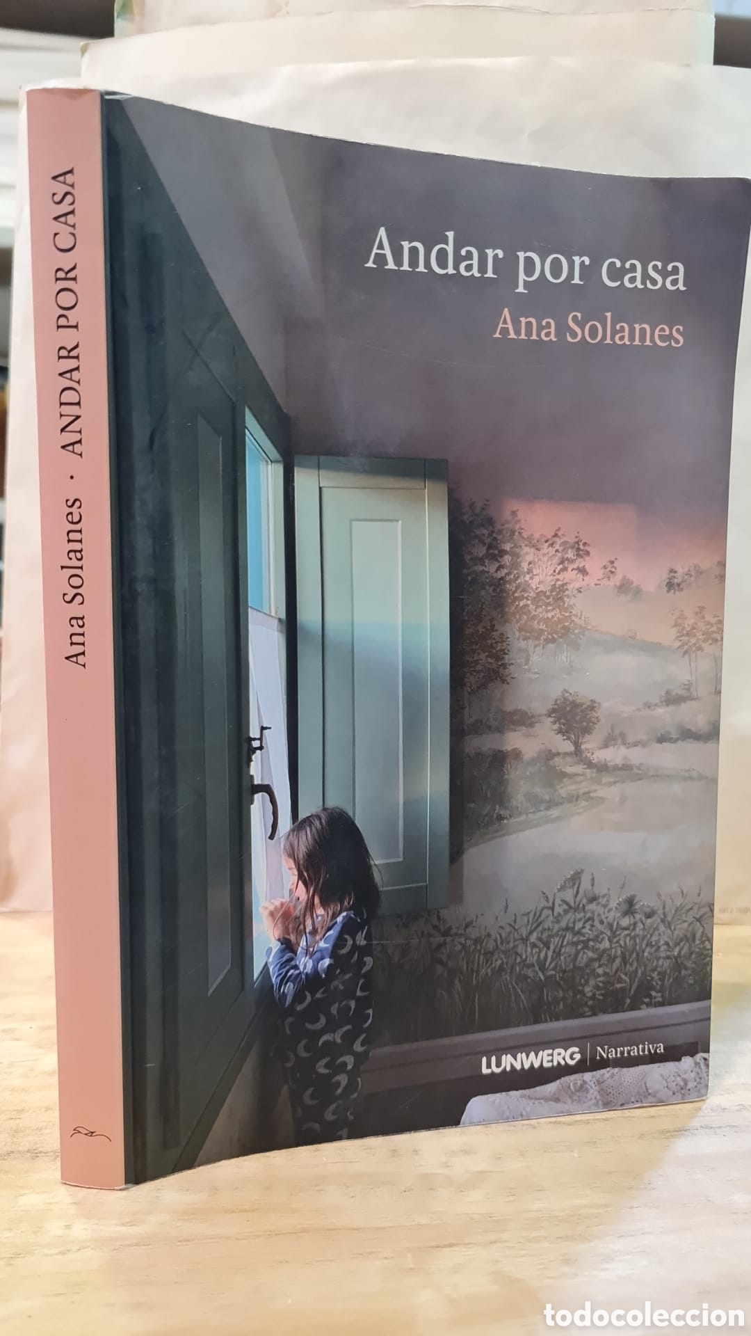 Livres d'occasion: Andar por casa - Ana Solanes