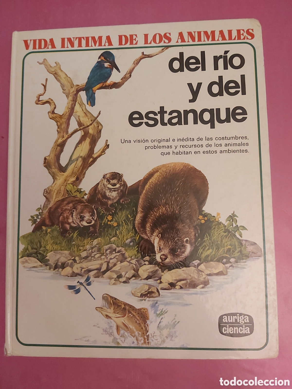 Libros de segunda mano: VIDA INTIMA DE LOS ANIMALES DEL RIO Y DEL ESTANQUE AURIGA CIENCIA