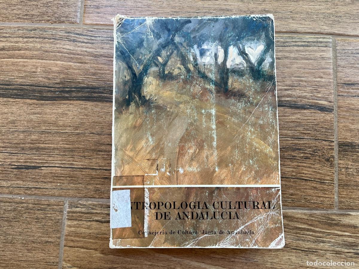 Libros de segunda mano: ANTROPOLOGIA CULTURAL DE ANDALUCIA.-Rodriguez becerra, Salvador