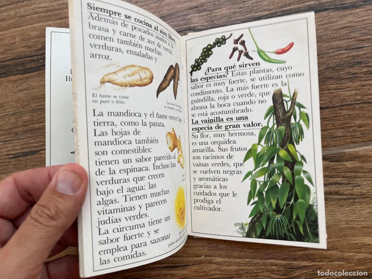 Libros de segunda mano: LAS ISLAS DEL SOL - ALTEA JUNIOR - BENJAMIN INFORMACI&Oacute;N - Foto 5