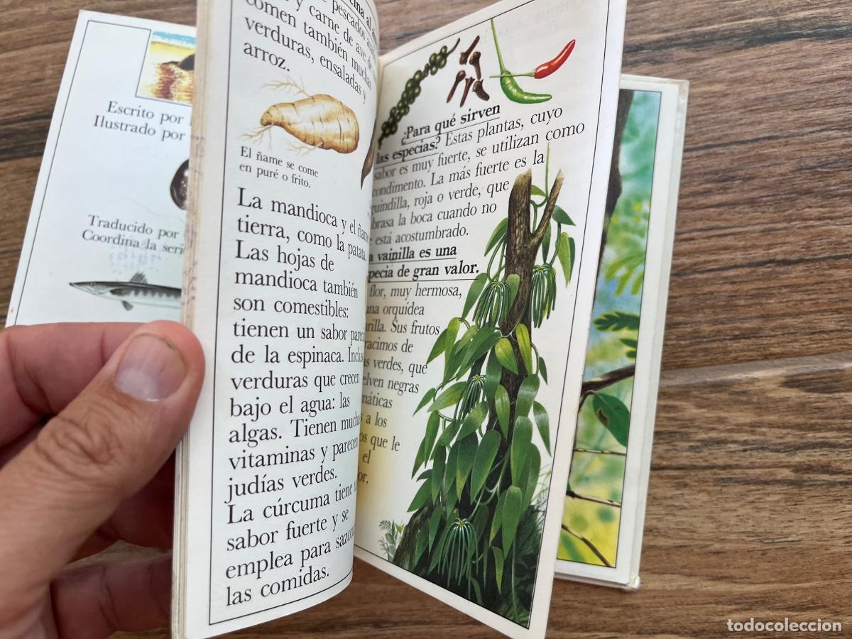 Libros de segunda mano: LAS ISLAS DEL SOL - ALTEA JUNIOR - BENJAMIN INFORMACI&Oacute;N - Foto 8