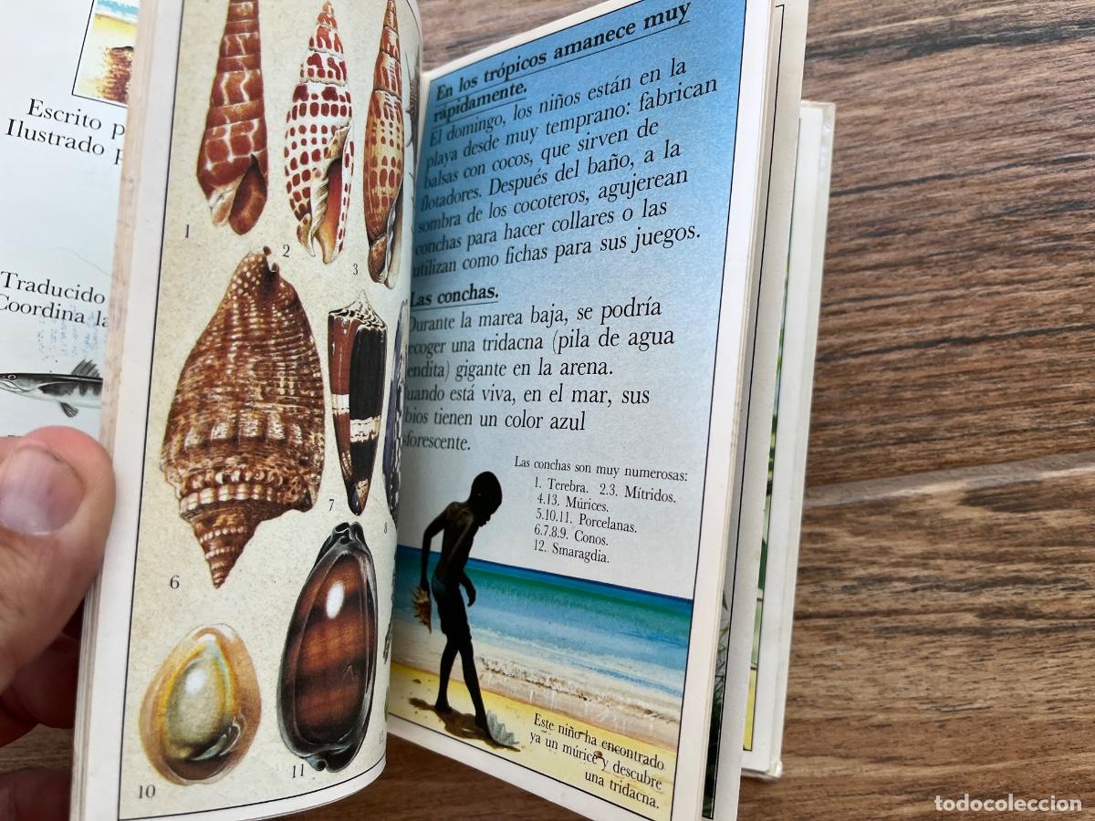 Libros de segunda mano: LAS ISLAS DEL SOL - ALTEA JUNIOR - BENJAMIN INFORMACI&Oacute;N - Foto 9