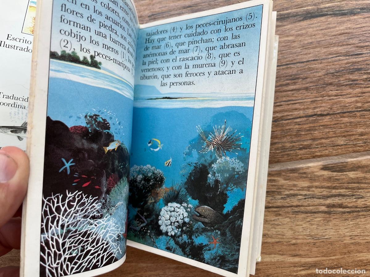 Libros de segunda mano: LAS ISLAS DEL SOL - ALTEA JUNIOR - BENJAMIN INFORMACI&Oacute;N - Foto 10