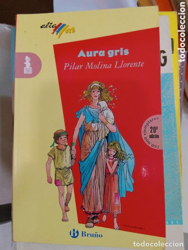 Libros de segunda mano: Aura Gris - 000 - Editorial Bru&ntilde;o - Altamar, 11