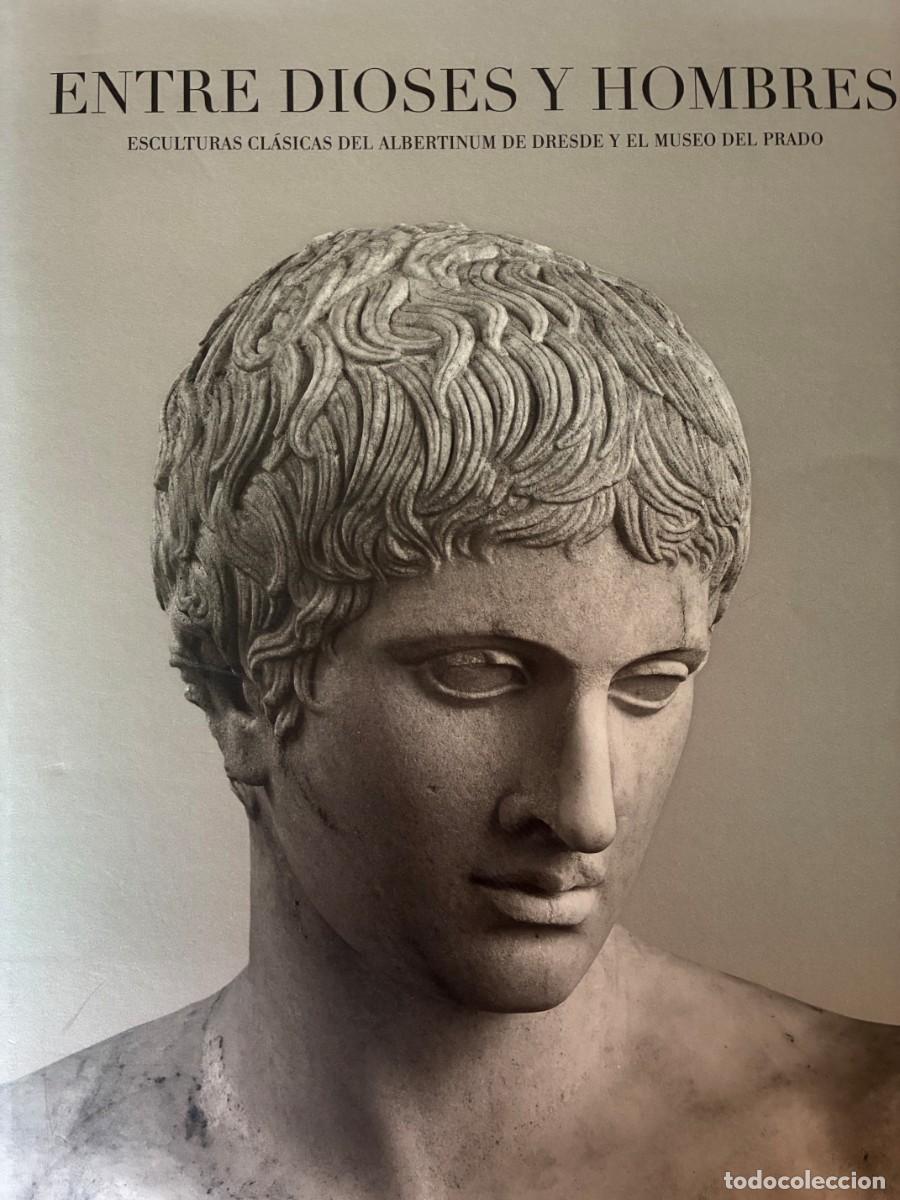 Libros de segunda mano: Entre dioses y hombres. Esculturas cl&aacute;sicas del Albertinum de Dresden y el Museo del Prado