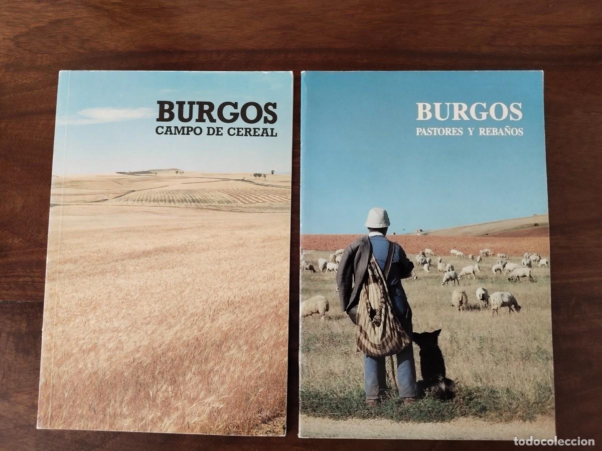 Libros de segunda mano: Burgos Campo de Cereal y Burgos Pastores y Reba&ntilde;os.
