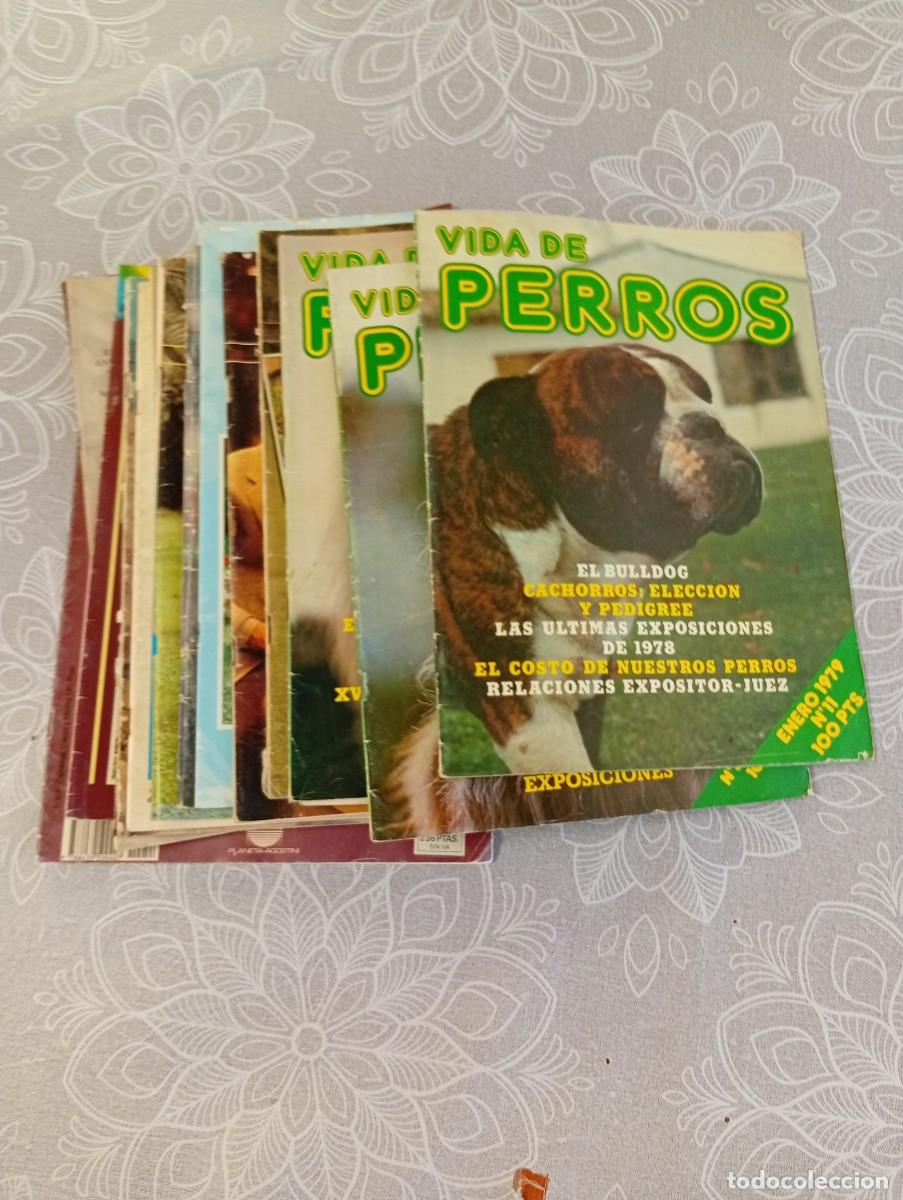 Second hand books: LOTE REVISTAS CANINAS,VIDA DE PERROS,ENCICLOPEDIA CANINA,PRIMEROS NUMEROS,CON POSTERS-