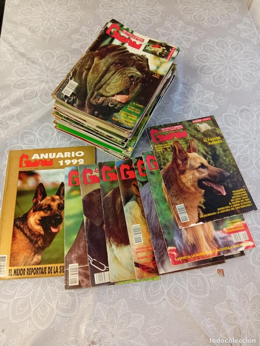 Livres d'occasion: LOTE REVISTAS CANINA GUAU ENCICLOPEDIA CANINA,PRIMEROS NUMEROS,CON POSTERS-