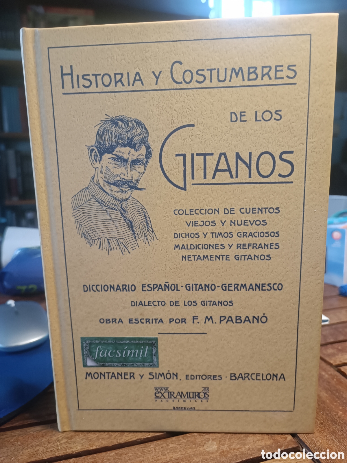 Libros de segunda mano: HISTORIA Y COSTUMBRES DE LOS GITANOS F. M. PABANO MONTANER Y SIMON 1915. FACSIMIL 2007 diccionario