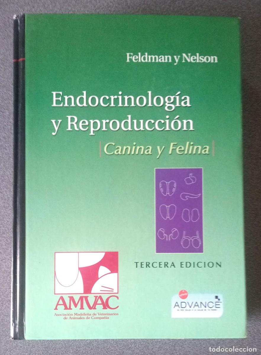 Libros de segunda mano: Endocrinolog&iacute;a Y Reproducci&oacute;n Canina Y Felin Feldman Y Nelson