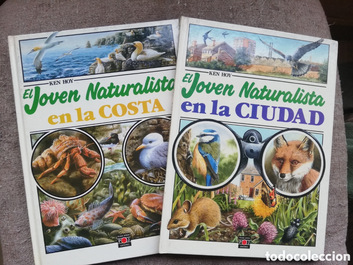 Libros de segunda mano: Ken hoy. El joven naturalista en la costa y en la ciudad. 2 tomos.