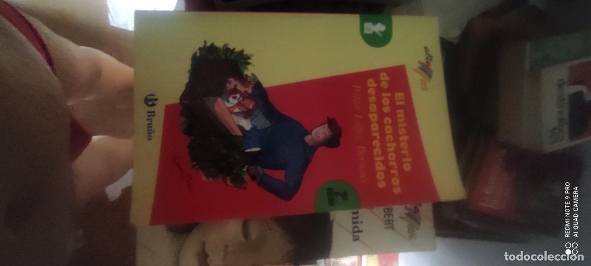 Gebrauchte B&uuml;cher: EL MISTERIO DE LOS CACHORROS DESAPARECIDOS - PILAR LOPEZ BERNUES - BRU&Ntilde;O - 2005