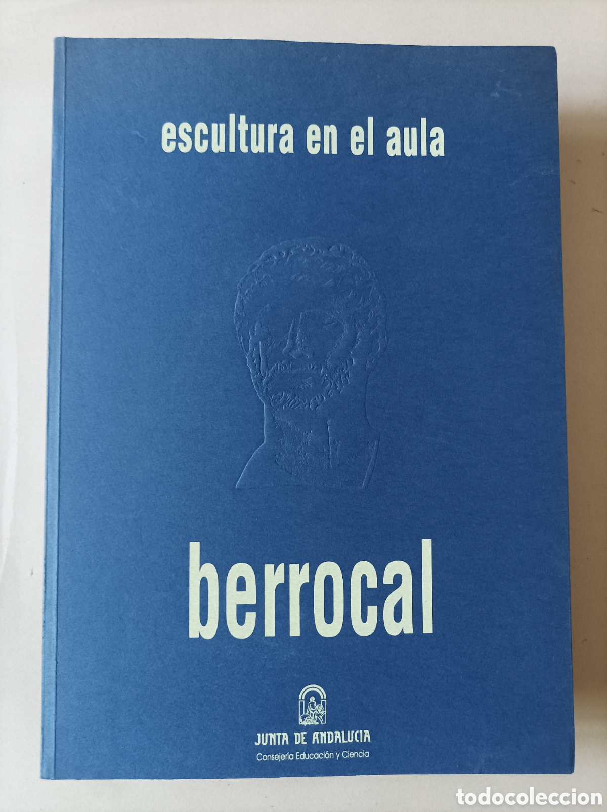 Libros de segunda mano: Berrocal. Escultura en el aula