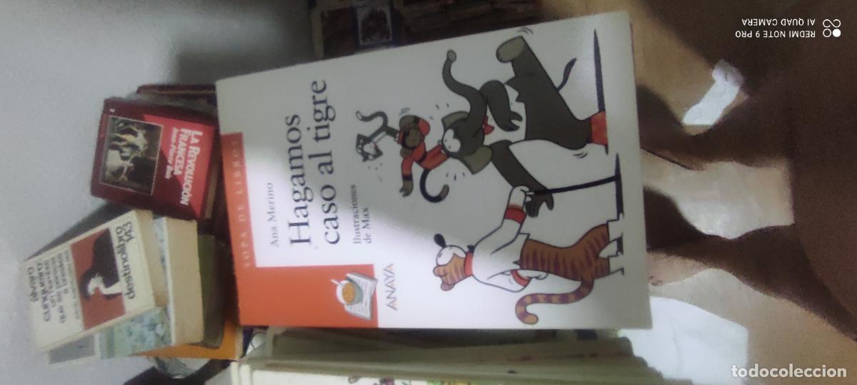 Libros de segunda mano: Ana Merino: Hagamos caso al tigre. (Ilustraciones de Max.)