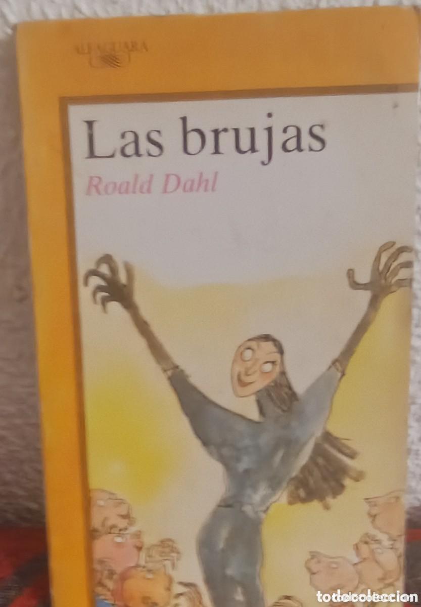 Libros de segunda mano: Las brujas. Roald Dahl