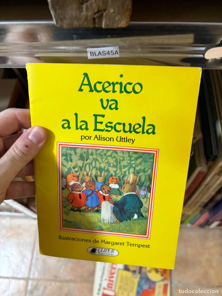 Libros de segunda mano: BLAS45A ALISON UTTLEY ACERICO VA A LA ESCUELA Cliper