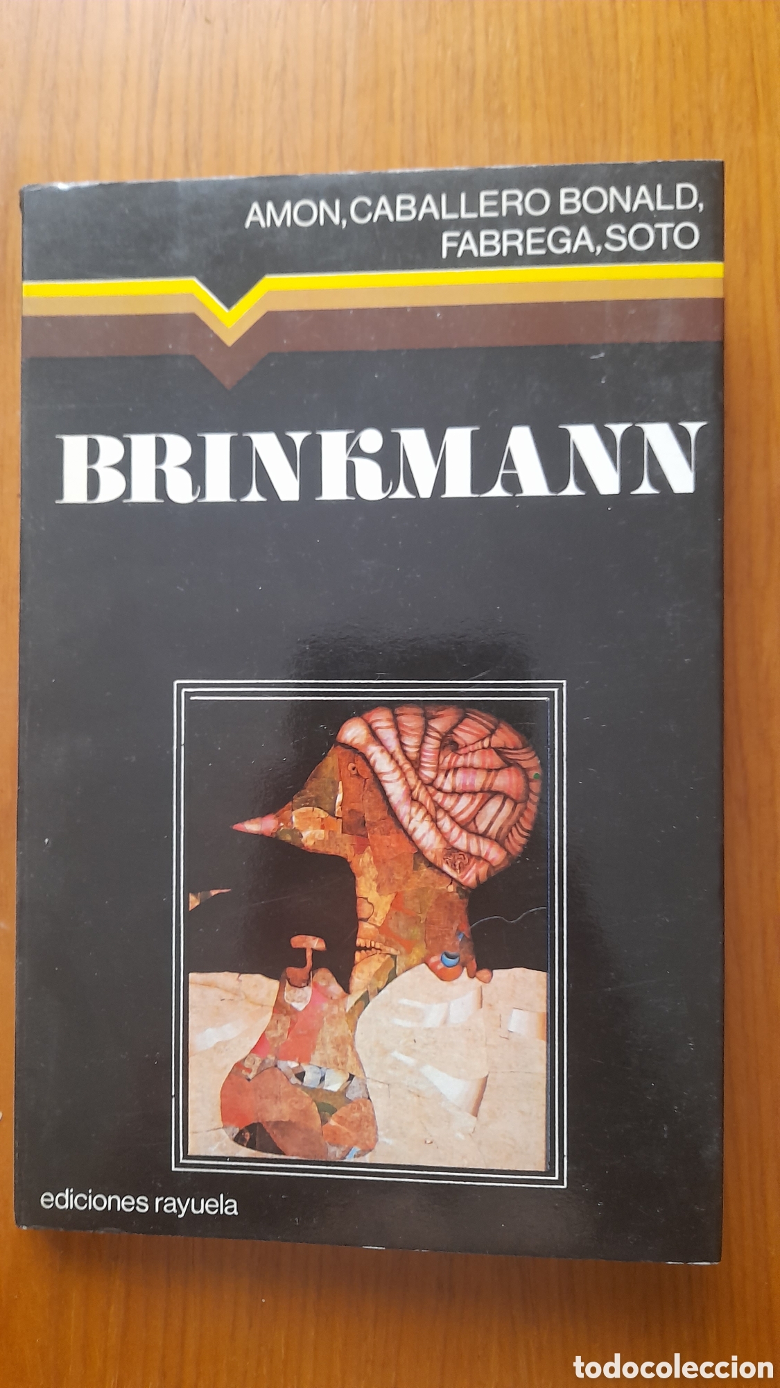 BRINKMANN SANTIAGO AMON
