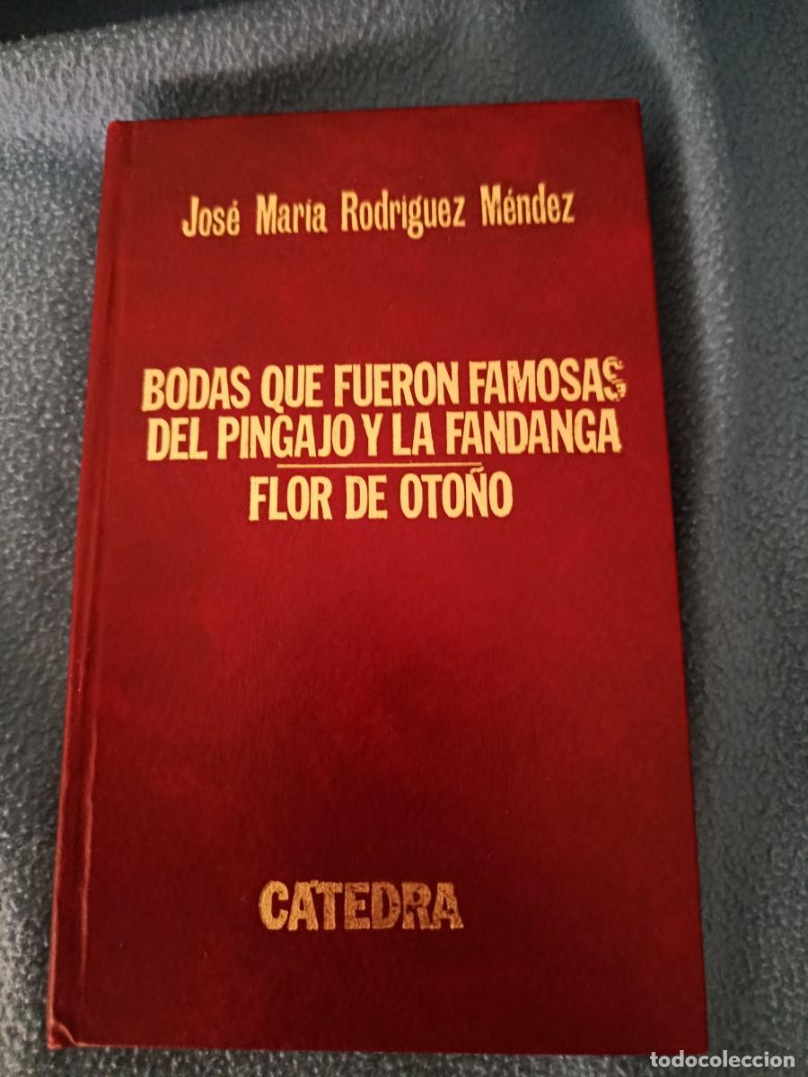 Libros de segunda mano: Jos&eacute; Mar&iacute;a Rodr&iacute;guez M&eacute;ndez