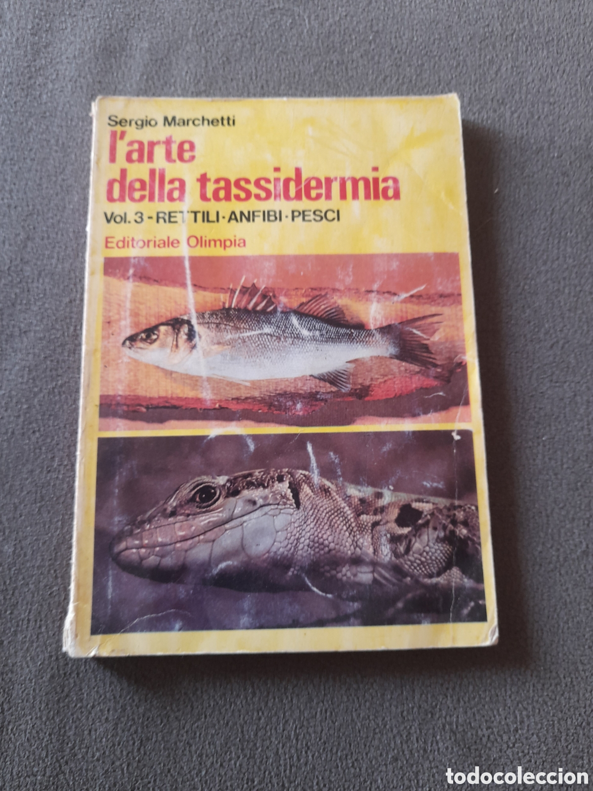 Libros de segunda mano: Libro L'arte della tassidermia vol.3 por Sergio Marchetti
