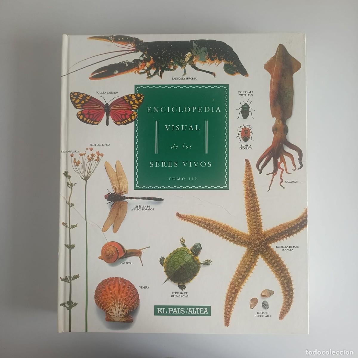Libros de segunda mano: ENCICLOPEDIA VISUAL DE LOS SERES VIVOS