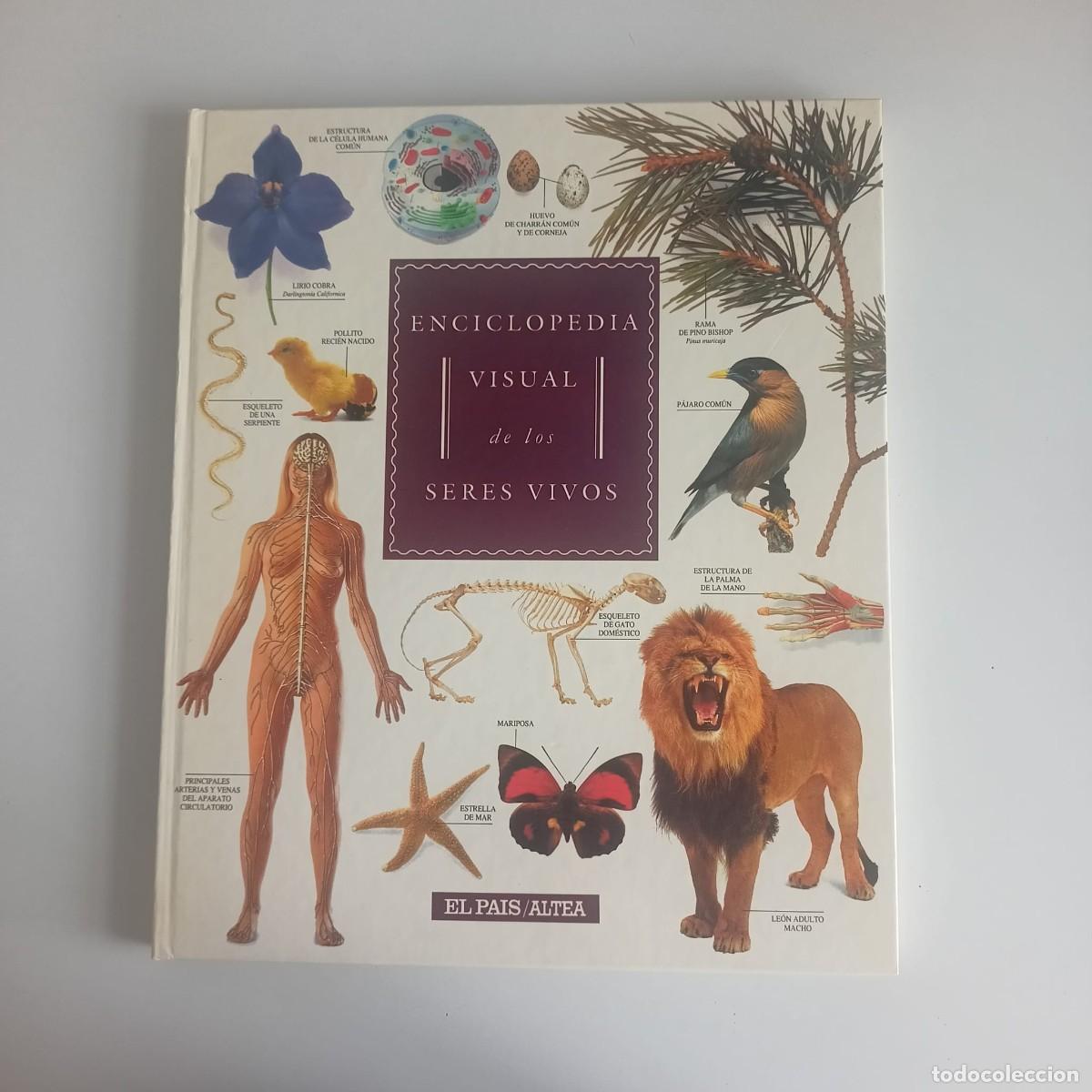 Libros de segunda mano: ENCICLOPEDIA VISUAL DE LOS SERES VIVOS - Foto 2