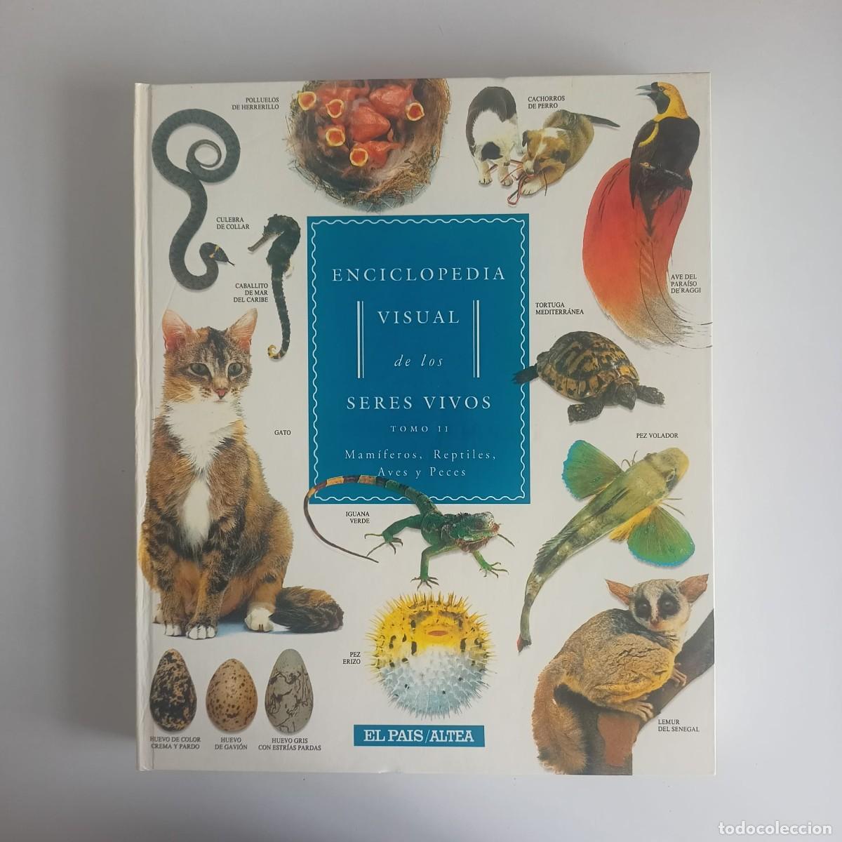 Libros de segunda mano: ENCICLOPEDIA VISUAL DE LOS SERES VIVOS - Foto 3
