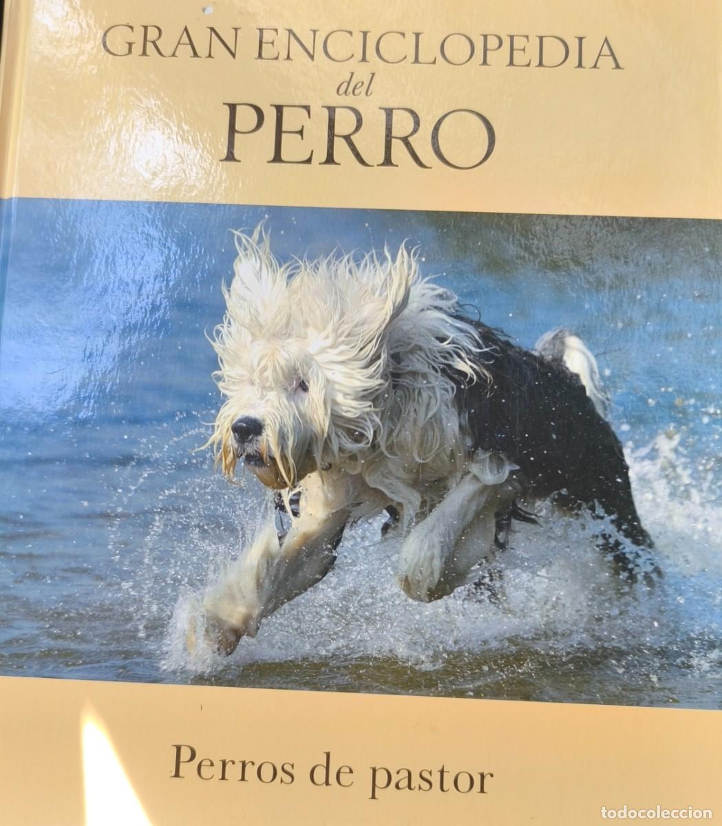Gebrauchte B&uuml;cher: GRAN ENCICLOPEDIA DEL PERRO (PERROS DE PASTOR)